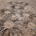 Arranging sticks in circles, Aus, Namibia