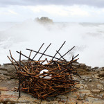 Nest made form stiks as part of sculptures on the Cliff. Hermanus, South africa