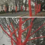 Wrapping 393 trees in red fabric as a installation for Dorp Street, Stellenbosch, South Africa.